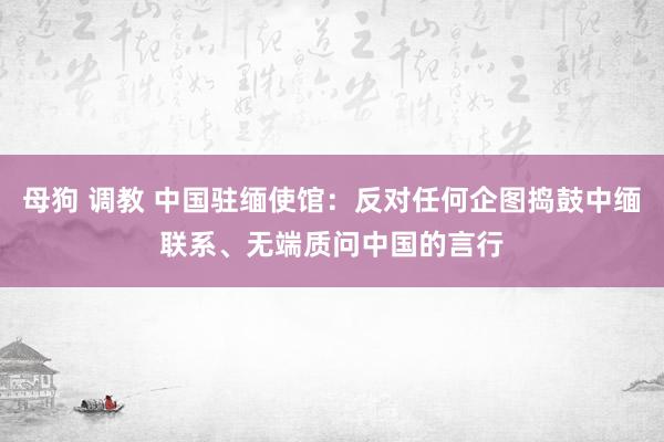 母狗 调教 中国驻缅使馆：反对任何企图捣鼓中缅联系、无端质问中国的言行