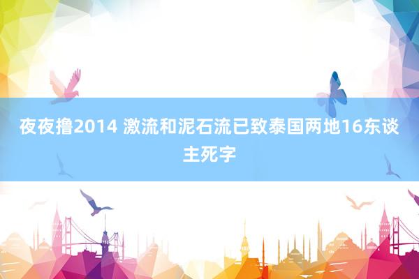 夜夜撸2014 激流和泥石流已致泰国两地16东谈主死字