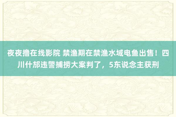 夜夜撸在线影院 禁渔期在禁渔水域电鱼出售！四川什邡违警捕捞大案判了，5东说念主获刑