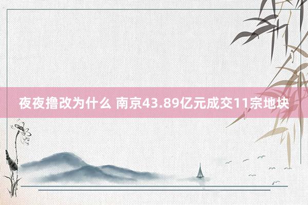 夜夜撸改为什么 南京43.89亿元成交11宗地块