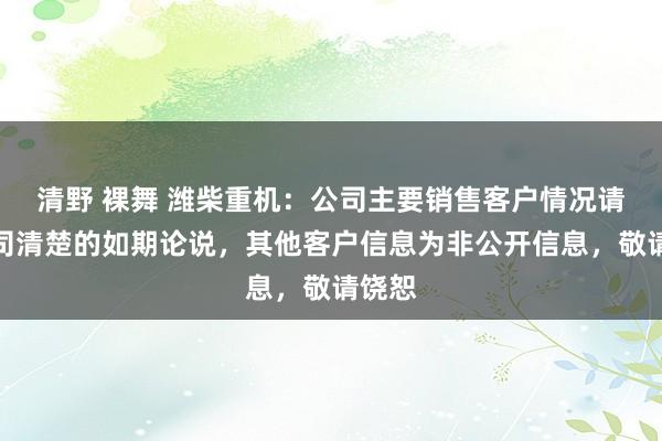 清野 裸舞 潍柴重机：公司主要销售客户情况请见公司清楚的如期论说，其他客户信息为非公开信息，敬请饶恕