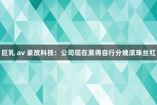 巨乳 av 豪放科技：公司现在莫得自行分娩滚珠丝杠