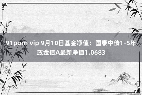 91porn vip 9月10日基金净值：国泰中债1-5年政金债A最新净值1.0683