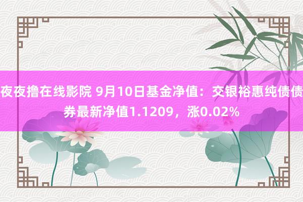 夜夜撸在线影院 9月10日基金净值：交银裕惠纯债债券最新净值1.1209，涨0.02%