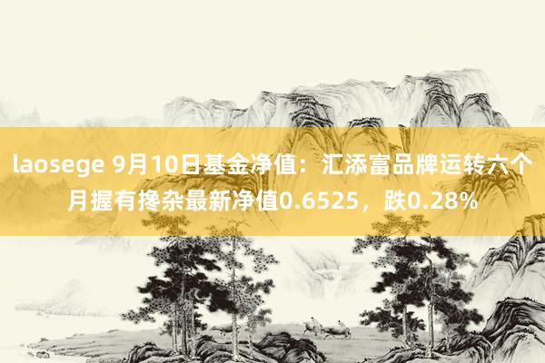 laosege 9月10日基金净值：汇添富品牌运转六个月握有搀杂最新净值0.6525，跌0.28%