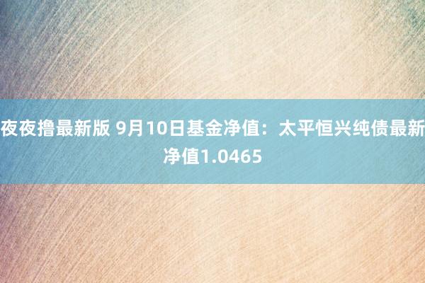 夜夜撸最新版 9月10日基金净值：太平恒兴纯债最新净值1.0465