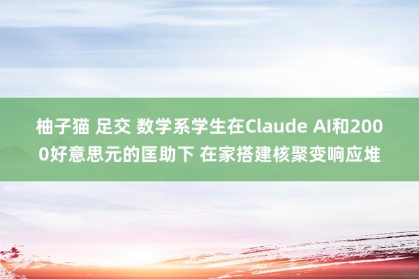 柚子猫 足交 数学系学生在Claude AI和2000好意思元的匡助下 在家搭建核聚变响应堆