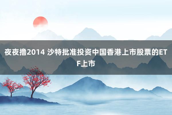 夜夜撸2014 沙特批准投资中国香港上市股票的ETF上市