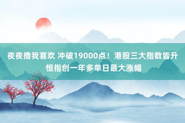 夜夜撸我喜欢 冲破19000点！港股三大指数皆升 恒指创一年多单日最大涨幅