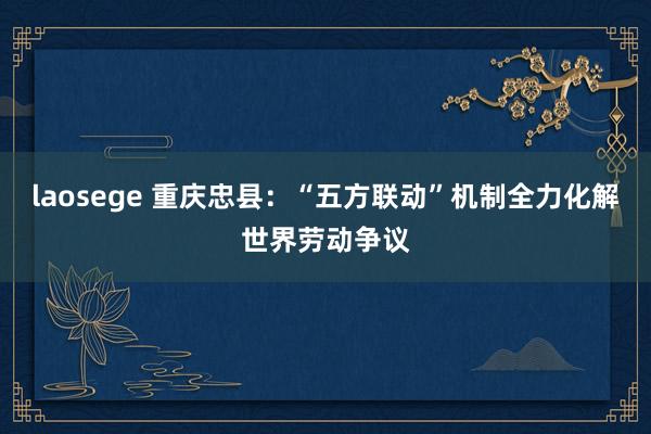 laosege 重庆忠县：“五方联动”机制全力化解世界劳动争议