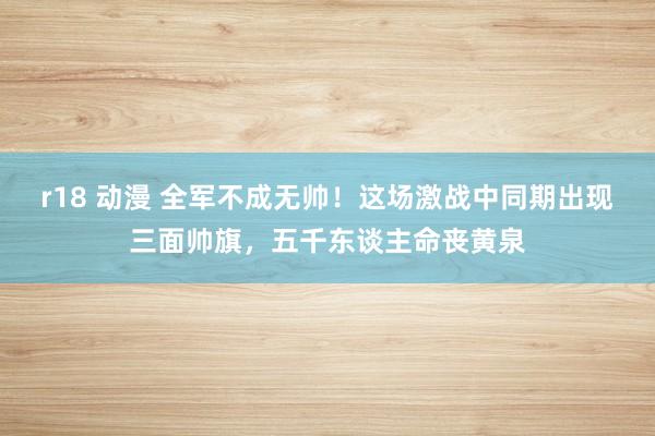 r18 动漫 全军不成无帅！这场激战中同期出现三面帅旗，五千东谈主命丧黄泉