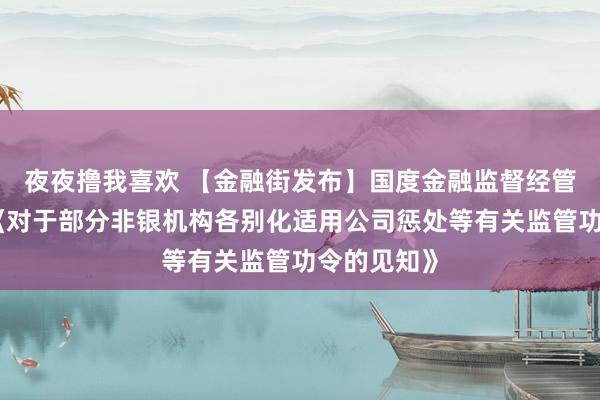 夜夜撸我喜欢 【金融街发布】国度金融监督经管总局发布《对于部分非银机构各别化适用公司惩处等有关监管功令的见知》