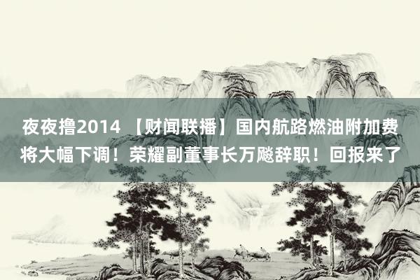 夜夜撸2014 【财闻联播】国内航路燃油附加费将大幅下调！荣耀副董事长万飚辞职！回报来了