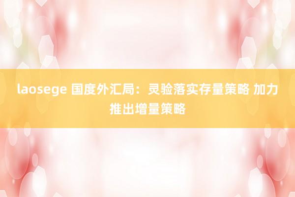 laosege 国度外汇局：灵验落实存量策略 加力推出增量策略