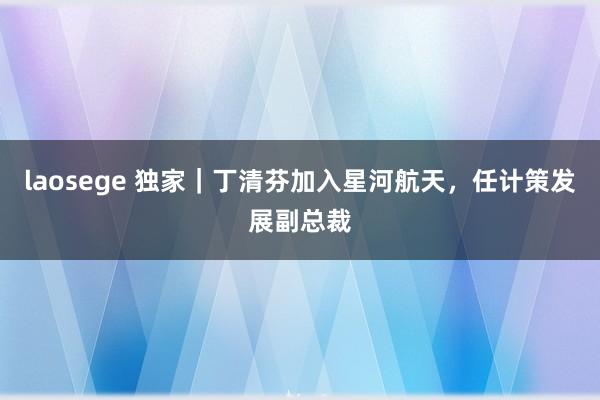 laosege 独家｜丁清芬加入星河航天，任计策发展副总裁