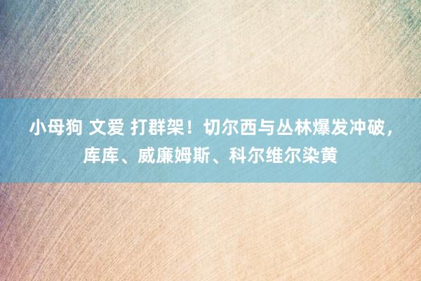 小母狗 文爱 打群架！切尔西与丛林爆发冲破，库库、威廉姆斯、科尔维尔染黄