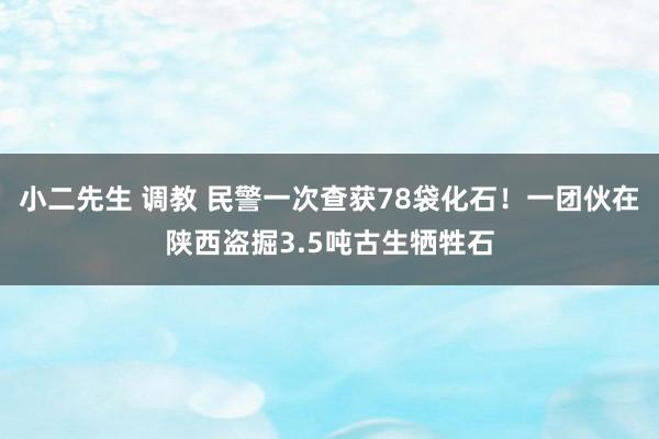 小二先生 调教 民警一次查获78袋化石！一团伙在陕西盗掘3.5吨古生牺牲石