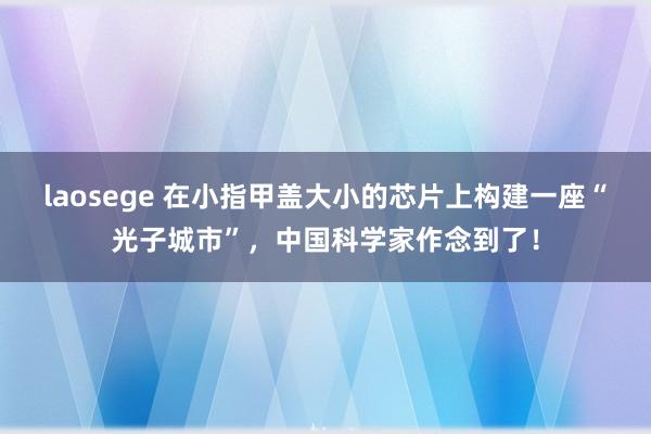 laosege 在小指甲盖大小的芯片上构建一座“光子城市”，中国科学家作念到了！