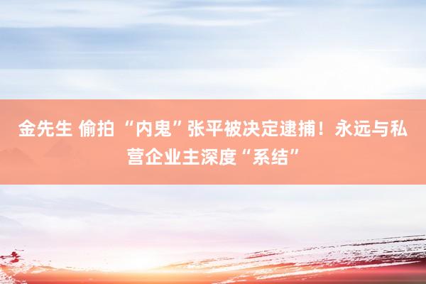 金先生 偷拍 “内鬼”张平被决定逮捕！永远与私营企业主深度“系结”