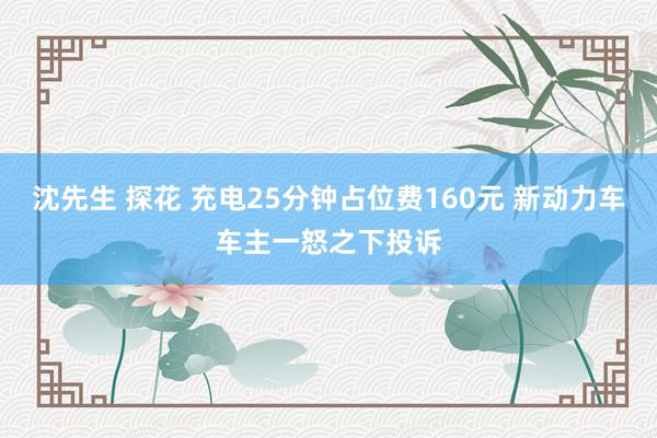 沈先生 探花 充电25分钟占位费160元 新动力车车主一怒之下投诉