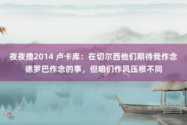 夜夜撸2014 卢卡库：在切尔西他们期待我作念德罗巴作念的事，但咱们作风压根不同