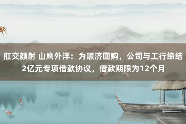 肛交颜射 山鹰外洋：为赈济回购，公司与工行缔结2亿元专项借款协议，借款期限为12个月