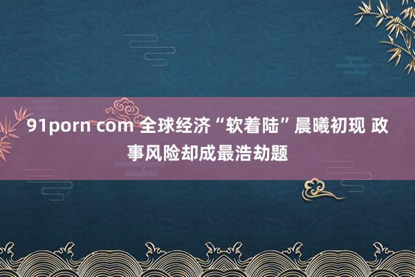 91porn com 全球经济“软着陆”晨曦初现 政事风险却成最浩劫题