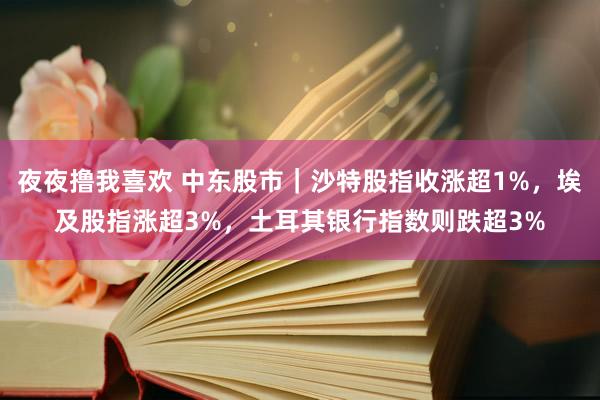 夜夜撸我喜欢 中东股市｜沙特股指收涨超1%，埃及股指涨超3%，土耳其银行指数则跌超3%