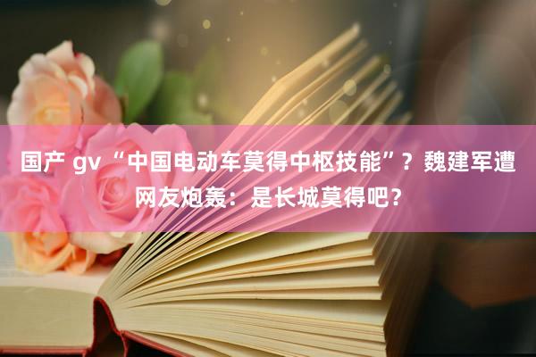 国产 gv “中国电动车莫得中枢技能”？魏建军遭网友炮轰：是长城莫得吧？