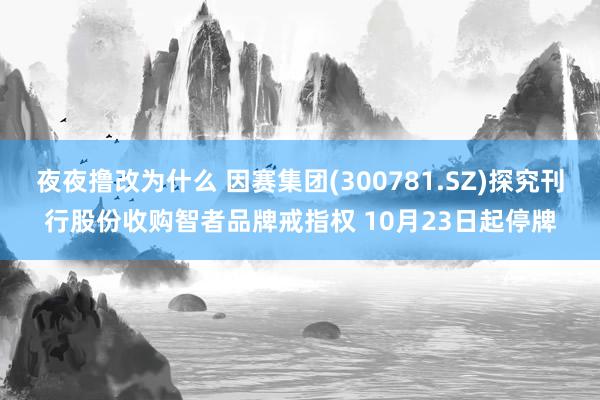 夜夜撸改为什么 因赛集团(300781.SZ)探究刊行股份收购智者品牌戒指权 10月23日起停牌