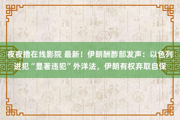 夜夜撸在线影院 最新！伊朗酬酢部发声：以色列进犯“显著违犯”外洋法，伊朗有权弃取自保