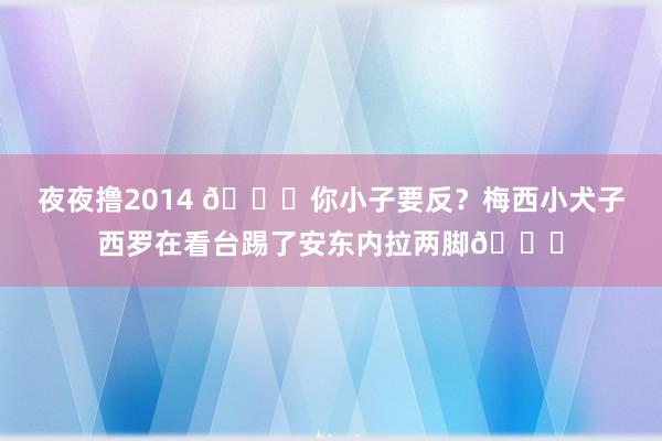 夜夜撸2014 🙈你小子要反？梅西小犬子西罗在看台踢了安东内拉两脚😅