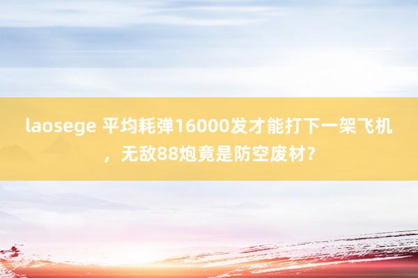 laosege 平均耗弹16000发才能打下一架飞机，无敌88炮竟是防空废材？