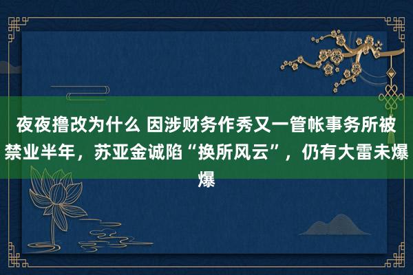 夜夜撸改为什么 因涉财务作秀又一管帐事务所被禁业半年，苏亚金诚陷“换所风云”，仍有大雷未爆