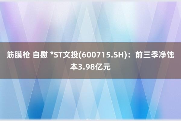 筋膜枪 自慰 *ST文投(600715.SH)：前三季净蚀本3.98亿元