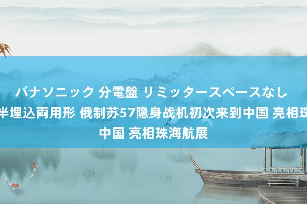 パナソニック 分電盤 リミッタースペースなし 露出・半埋込両用形 俄制苏57隐身战机初次来到中国 亮相珠海航展