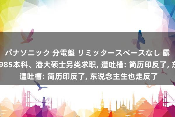 パナソニック 分電盤 リミッタースペースなし 露出・半埋込両用形 985本科、港大硕士另类求职, 遭吐槽: 简历印反了, 东说念主生也走反了