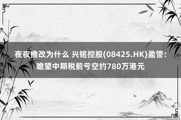 夜夜撸改为什么 兴铭控股(08425.HK)盈警：瞻望中期税前亏空约780万港元