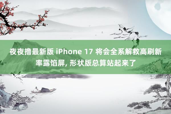 夜夜撸最新版 iPhone 17 将会全系解救高刷新率露馅屏, 形状版总算站起来了