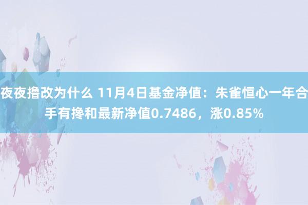 夜夜撸改为什么 11月4日基金净值：朱雀恒心一年合手有搀和最新净值0.7486，涨0.85%