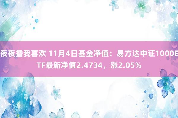 夜夜撸我喜欢 11月4日基金净值：易方达中证1000ETF最新净值2.4734，涨2.05%