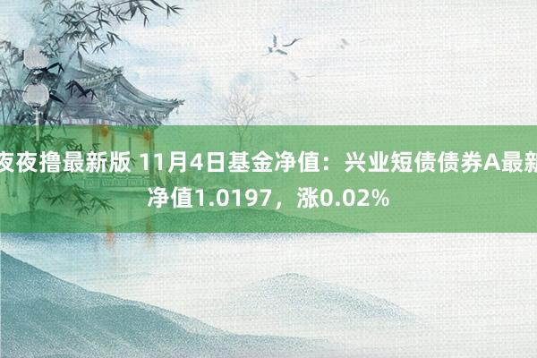 夜夜撸最新版 11月4日基金净值：兴业短债债券A最新净值1.0197，涨0.02%