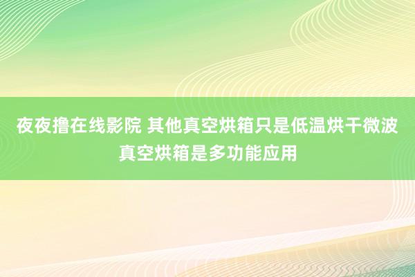 夜夜撸在线影院 其他真空烘箱只是低温烘干微波真空烘箱是多功能应用