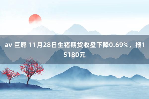 av 巨屌 11月28日生猪期货收盘下降0.69%，报15180元