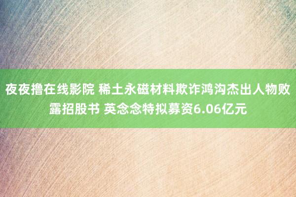 夜夜撸在线影院 稀土永磁材料欺诈鸿沟杰出人物败露招股书 英念念特拟募资6.06亿元