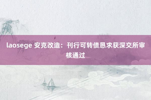 laosege 安克改造：刊行可转债恳求获深交所审核通过