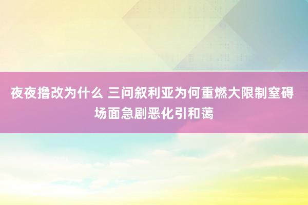 夜夜撸改为什么 三问叙利亚为何重燃大限制窒碍 场面急剧恶化引和蔼