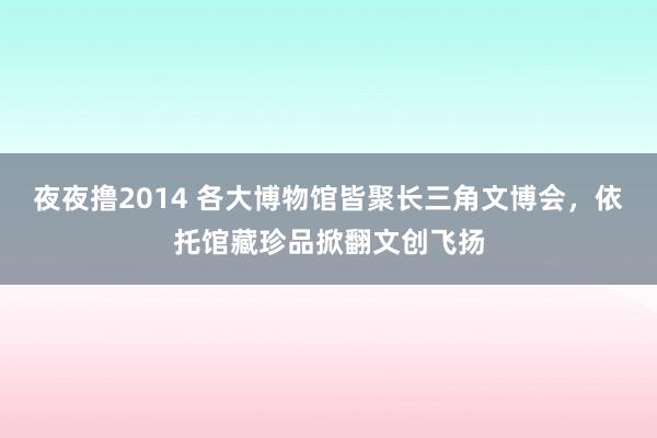 夜夜撸2014 各大博物馆皆聚长三角文博会，依托馆藏珍品掀翻文创飞扬