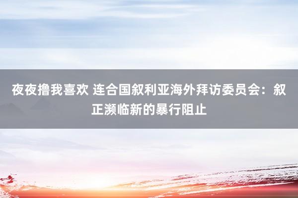 夜夜撸我喜欢 连合国叙利亚海外拜访委员会：叙正濒临新的暴行阻止