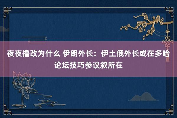 夜夜撸改为什么 伊朗外长：伊土俄外长或在多哈论坛技巧参议叙所在